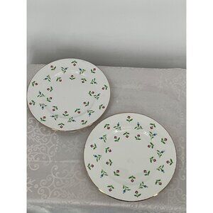 Royal Victoria ROV12 Fine Bone China Floral Salad Dessert Plates Set Of 2‎